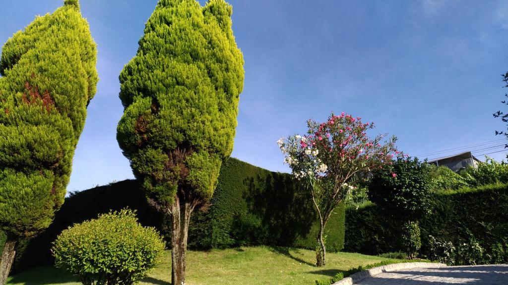 Aboimhouse Villa Amarante Exterior foto